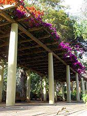 A wedding arbor is an easy way to personalize an outdoor wedding and define the ceremony site within the open space. Pergola Wikipedia