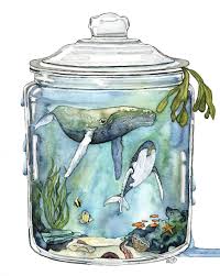 Watercolor Painting Whale Painting Terrarium Whale In Etsy Whale Painting Whale Art Fine Art Giclee Prints