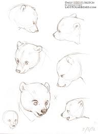Sketching Bear Cubs Daily Animal Sketch Arctic Fox And Polar Bears Animal Sketches Bear Sketch Bear Art