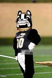 Wofford College Terriers Mascot Boss Dog Cheers At The Game Against Mascot Terrier Dogs