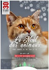 Adopter un animal est une démarche sérieuse et responsable. Fondation 30 Millions D Amis Pa Twitter Et Si Votre Projet Du Weekend Etait D Aller Adopter Au Refuge 30millionsdamis De La Tuilerie 77 Adoptionresponsable Adoption Https T Co 1uefumvu5j