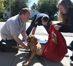 All pets animal hospital (1.01miles). Pet Medical Center Of Ames The W Guide