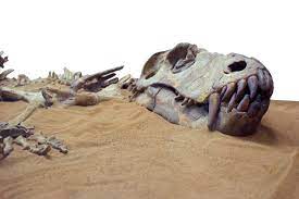 Radiocarbon dating is generally limited to dating samples no more than 50, years old, as samples older than that have insufficient 14 c to be measurable. Geologic Dating Methods Are They Always Accurate