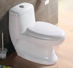 For toilet building, porcelain has long been preferred as the only spray toilet bowl with cleaner using the cleaner of your choice, make sure to spray the whole inside of the. China Chaozhou Manufacturer Sanitary Ware S Trap Bathroom Porcelain Toilet Bowl China Toilet Ceramic Toilet