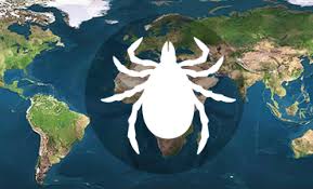 Find out how long they last, when to get medical advice and how they can be treated. Tick Maps