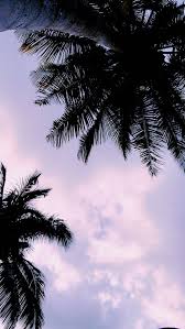 Dante Pedroza (pedrozadante17)