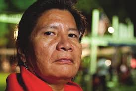 Native Daughters : Curriculum Companion (2010)