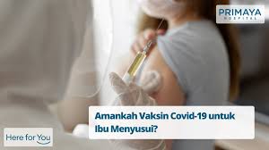 A range of vaccines are being used to reduce people's chances of getting sick, needing hospital treatment or dying. Amankah Vaksin Covid 19 Untuk Ibu Menyusui Primaya Hospital