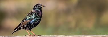 Apa, sofia carson, craig robinson, bradley whitford. Transforming The Trent Valley