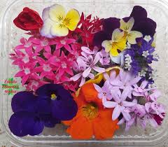 Maybe you would like to learn more about one of these? Facebook