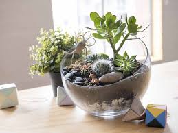 A variety of amazing plants can be added to your backyard pond for additional garden enjoyment. How To Make A Self Sustaining Terrarium
