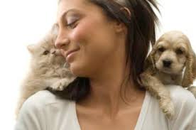 Exclusively Cats Veterinary Hospital Blog: Can I buy a hypoallergenic cat?