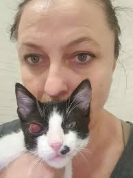 Wei all Joer's wëlle mir och dëst Joer erëm de Muppen, déi vun Irina's  Tierhilfe versuergt gi, eng Freed maachen. Fir et méi einfach ze maachen,  wollte mir dëst Joer einfach bei