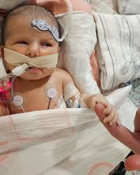 Fundraiser for Brandon Kahle by Scott Myers : Help the Kahle Family Through  Hilda's Recovery