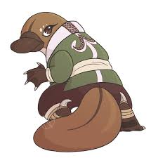 Matt says that … a he doesn't like his job much because it isn't very exciting. Master Platypus By Neothebean On Deviantart