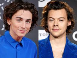 Submitted 1 day ago by v3g3ta777. Snl Timothee Chalamet S Harry Styles Impression Delights Fans