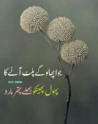 Pin By Anmol On Urdu Quotes Urdu Love Words Fun Poetry Flowers