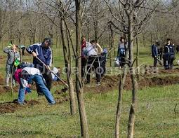 Your current browser isn't compatible with soundcloud. Mai Avem Nevoie Si De IarbÄƒ In ConstanÅ£a Se PlanteazÄƒ Arbusti Ornamentali