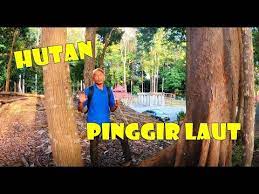 Please choose a different date. Seputar Di Hutan Lipur Pasir Panjang Negeri Sembilan Youtube