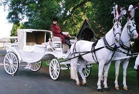 Equishare Horse Drawn Carriages Horse Wedding Horse And Carriage Wedding Wedding Transportation