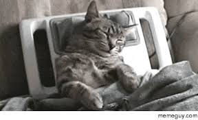 Shi Cat Su Massage Meme Guy