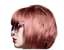 Olia shade 8.22, medium rose gold, is a medium blonde shade with delicate golden rose reflects. Crazy Color Rose Gold
