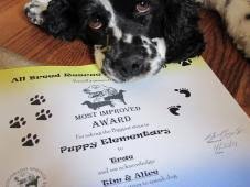 This page was created by pawboost to help more fur babies get. Most Popular Colorado Springs Co Nonprofits And Charities Donate Volunteer Review Greatnonprofits