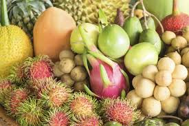 Importation De Vegetaux Regles Et Demarches Ooreka