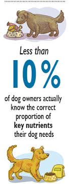 Nutritional Differences For Small Toy And Large Breed Dogs