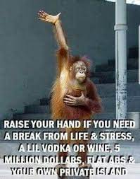 Check out even more funny jokes with our joke generator! Everything Except The Alcohol Funny Quotes Monkeys Funny Funny