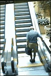 12 Vid E Ohhhzzz Ideas Funny Gif Funny Pictures Funny