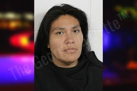 Minnie Jarvis — Floyd County Jail Bookings