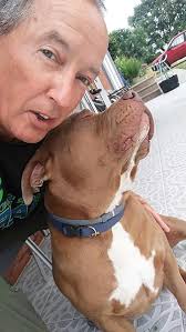 Amazon.com: A Woman for Five Seasons: Volume One: Spring (Volume 1):  9781545254875: Southard, DeMar: Books