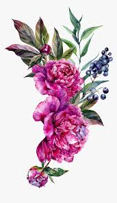 Here you can explore hq peony flower transparent illustrations, icons and clipart with filter setting like size, type, color etc. Peony Flower Vector Free Download Hd Png Download Kindpng