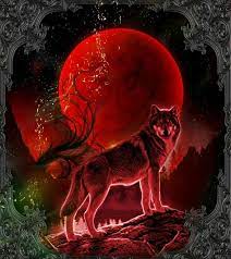 Https Www Facebook Com Norleenbrown1959 Photos A 1190061261006984 2196035883742845 Type 3 Fantasy Wolf Wolf Art Fantasy Wolf Artwork