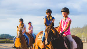 Activities include swimming, canoeing, arts & crafts, horseback riding, sailing and more. Horsemanship Camps Day And Overnight Horse Camps