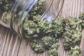 Bentuk objek gambar yang sama bentuknya bagian atas dan bagian bawah atau bagian kiri dan 6. Memasak Daun Ganja Apakah Sama Efeknya Dengan Mengisap Ganja Kegunaan Efek Samping Interaksi Hello Sehat