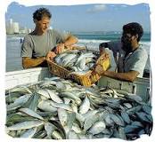 Mouthwatering Seafood Cuisine in South Africa