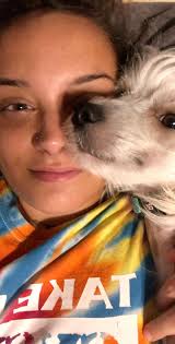 Missing watt and elkhorn , $ reward . Please bring him home