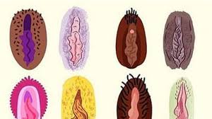 Das passiert wahrscheinlich, weil sie im flugzeug ihr schicksal nicht kontrollieren können. Fur Dich Zur Info Dein Jungfernhautchen Ist Nie Wirklich Gerissen