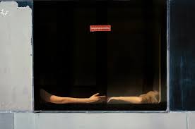 Luis Oliván Tenorio