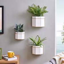 Wall mounted planter hook for unique vertical plant display. Wall Mount Plant Hanger Target