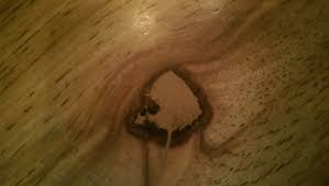 The dark wood grain ring is a ring in dark souls. Dark Wood Grain Ring Dark Souls Cemorowoodcraft