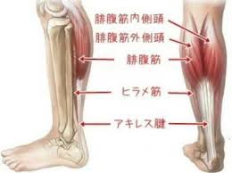 Nahrávejte, sdílejte a stahujte zdarma. ã‚ã‚Œã£ ãµãã‚‰ã¯ãŽãŒç—›ã„ ãƒ'ãƒ©ãƒ¡ç­‹ã®è‚‰é›¢ã‚Œ ä¹…é‡Œæµœé§…å‰æŽ¥éª¨é™¢