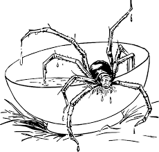 The curiosity and fascination surrounding these insects have inspired us to represent them artistically. Download Hd Drawing Cartoon Spider Web Dot Draw Com Fun Scary Spider Coloring Page Transparent Png Image Nicepng Com
