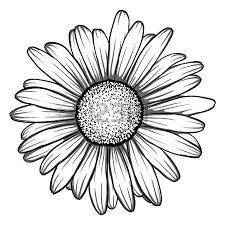 Dessins Marguerites Belle Monochrome En Noir Et Blanc Fleur De Marguerite Dessin Marguerite Tatouage De Marguerite Dessin Tatouage