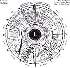 Left Eye Iridology Chart 9