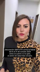 Vacunacion De Perros 2024 Ibarra