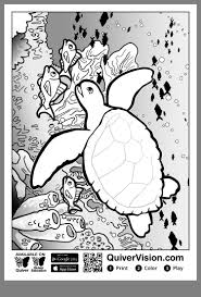 Quangvinh Adli Kullanicinin Quiver Panosundaki Pin Boyama Sayfalari Artirilmis Gerceklik 3d Boyama