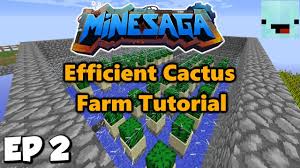 Repotting a cactus can be intimidating, but as long as you protect yourself from the spines and. Loot Crates And Easy Cactus Farm Tutorial Skyblock With Noobsniper Ep 2 Youtube